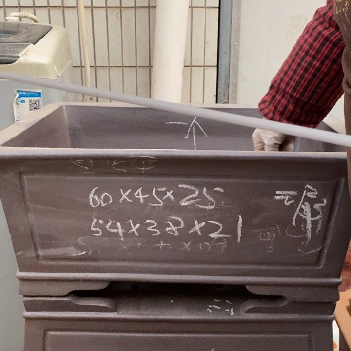 花盆紫砂只顾看着你