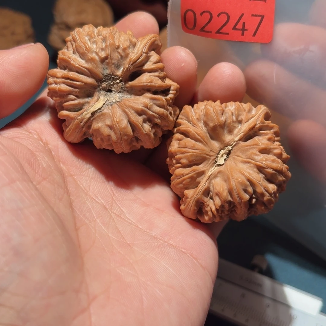 文玩核桃吊坠奥迪