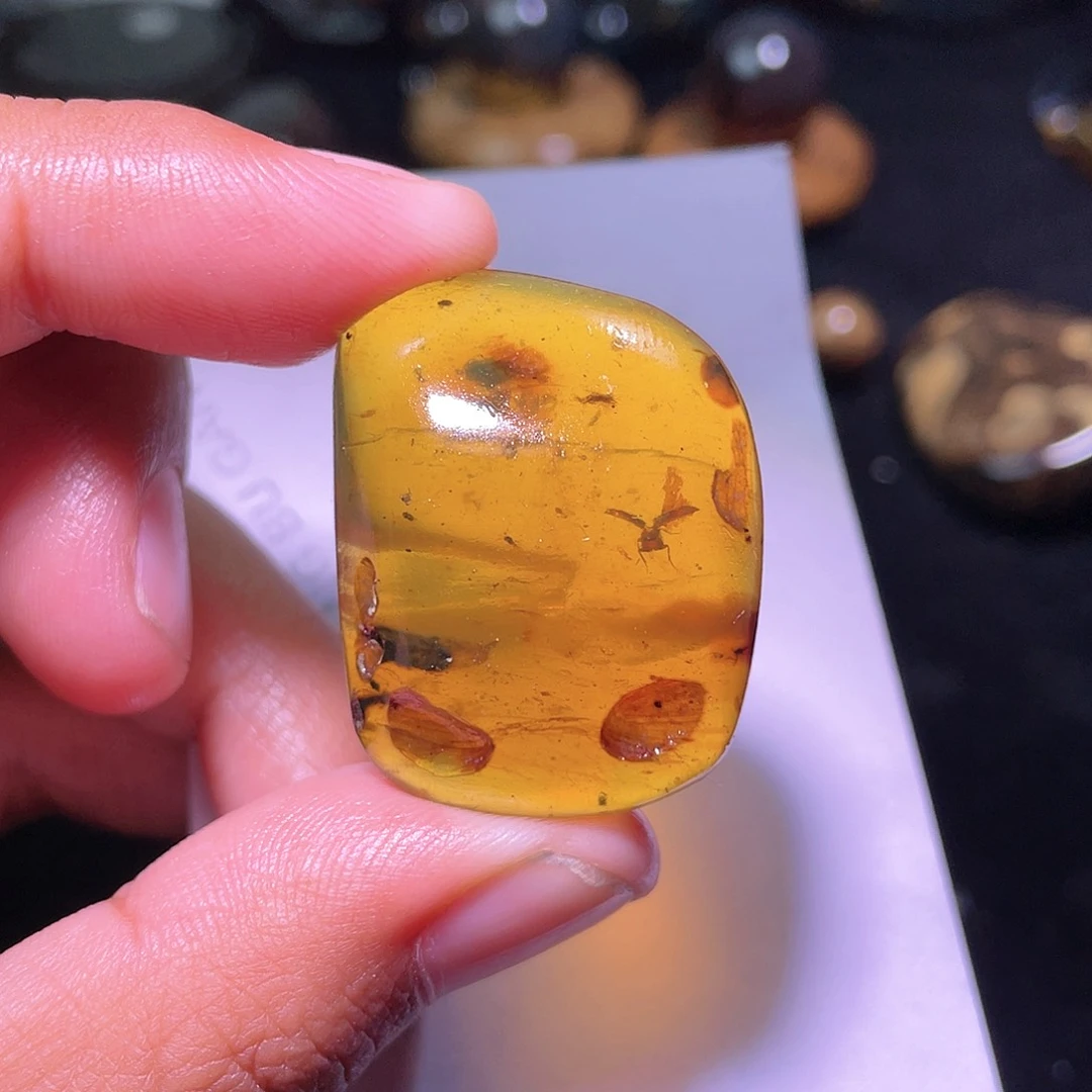 琥珀裸石未镶嵌，