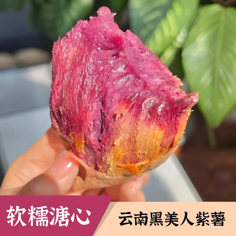 云南高山黑美人紫薯软糯香甜不干噎粗粮新鲜现挖地瓜番薯溏心流油