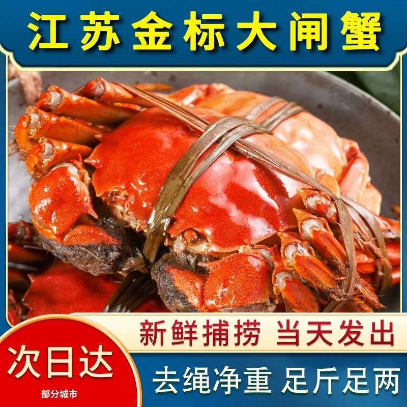 1【活蟹】江苏精品大闸蟹 全母蟹3.0-2.7两 8/10只