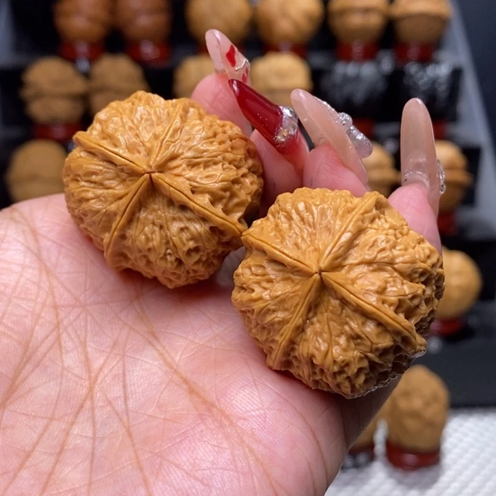 文玩核桃把件珊瑚四棱40号