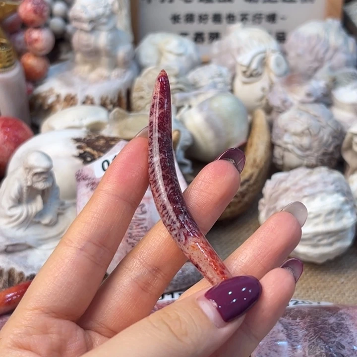 荷***塘养殖梅花鹿三界角牙