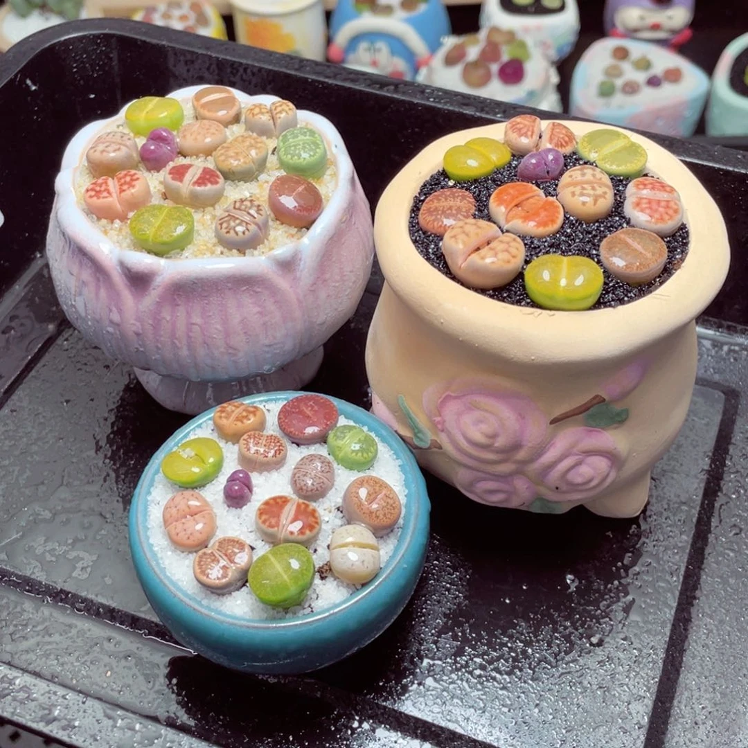 w111111-一份三盆量拍