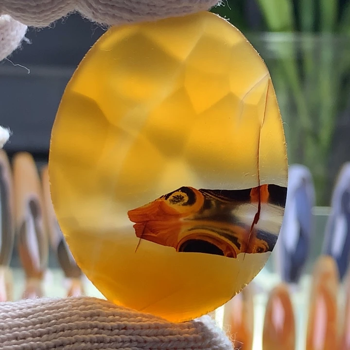 未镶嵌颈饰玛瑙/玉髓62