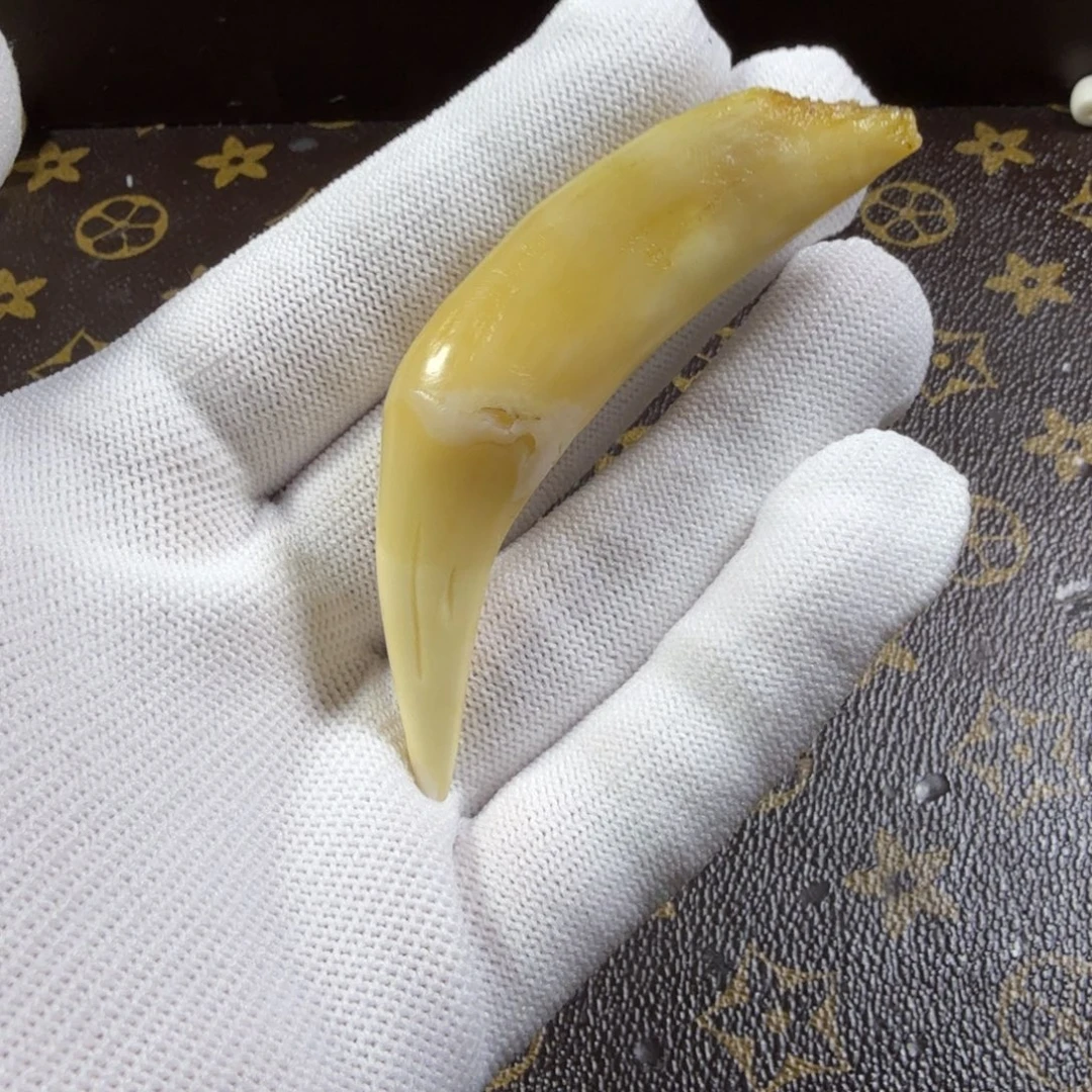 骆驼牙手串/手链手串