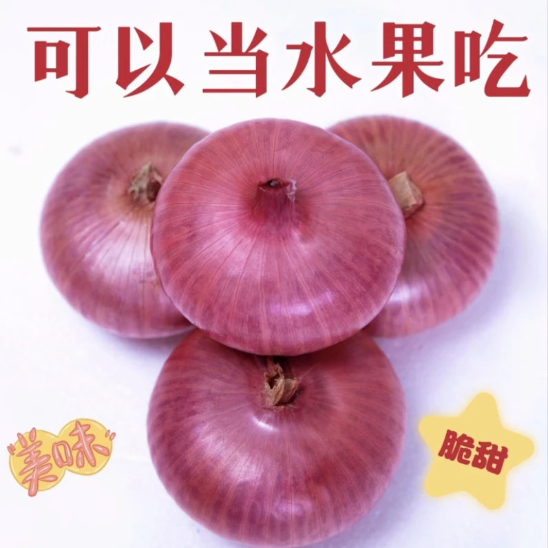 （精品红象）山东新鲜水果扁洋葱可生吃微甜微辣5斤时令蔬菜