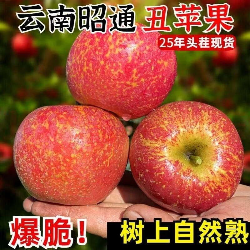 云南昭通冰糖心丑苹果新鲜现摘脆甜多汁肉厚营养水果