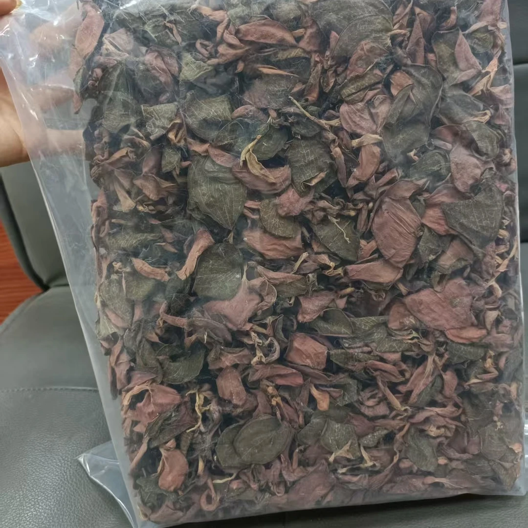 金线莲叶子整株煲汤泡水佳品