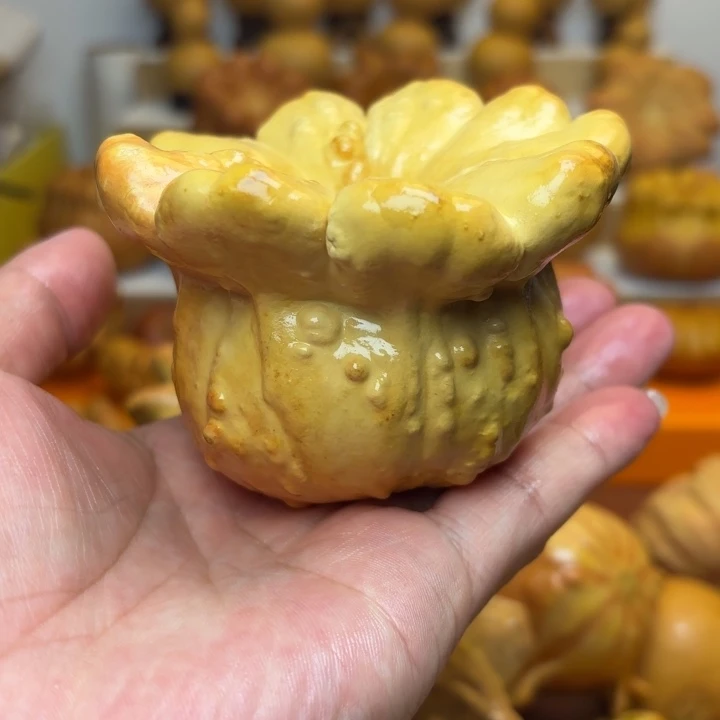 特价福利不退不换