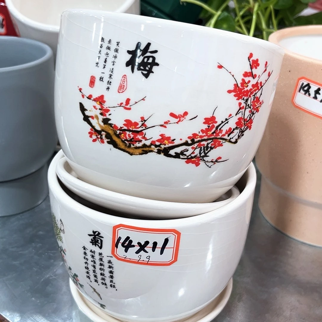 花盆花盆花盆花盆花盆花盆花盆