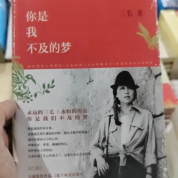 你是我不急的梦精装9米