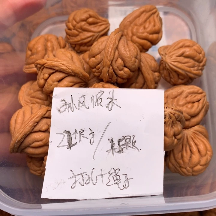 野生桃核霸王龙22➕尺寸