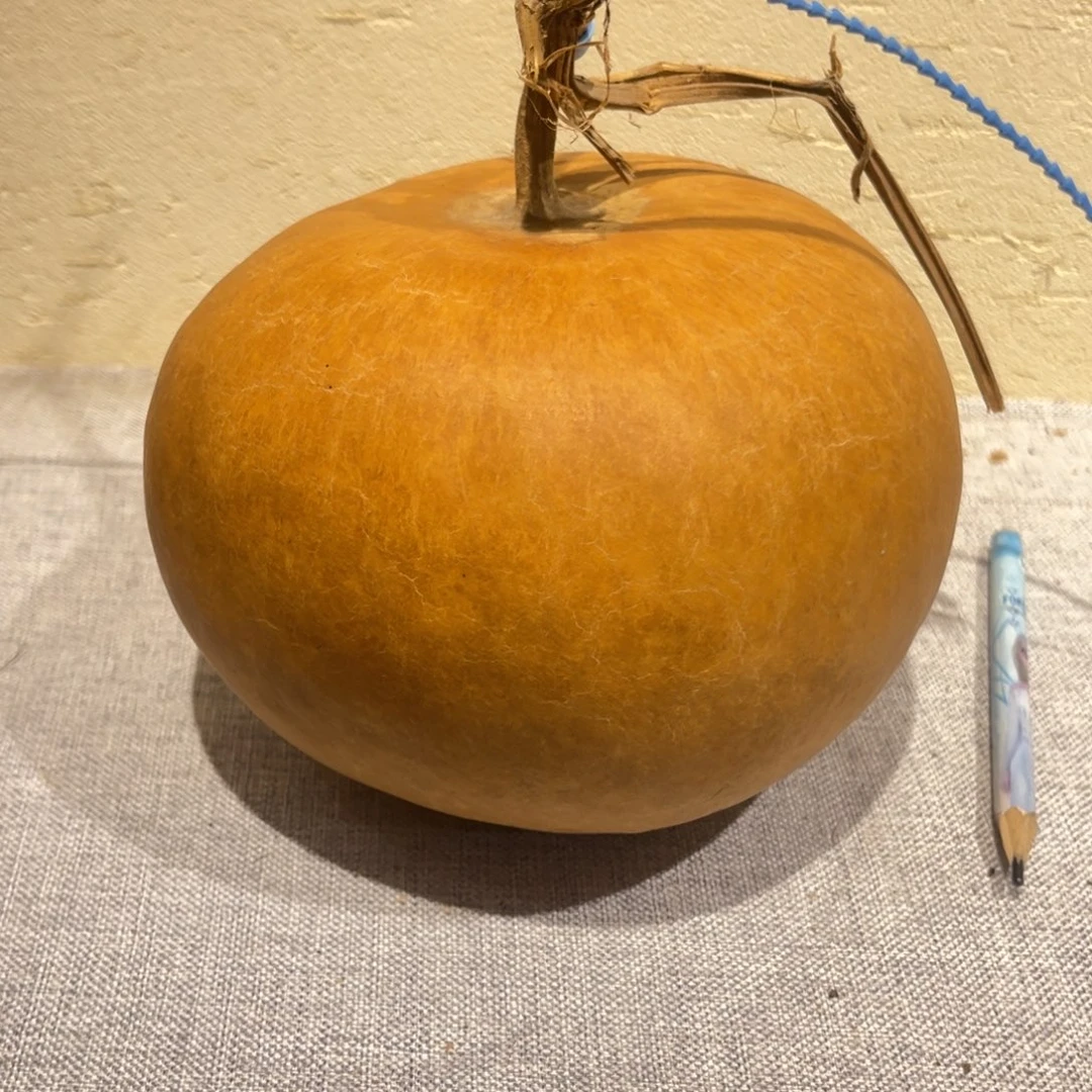 A***主仿木不包邮不保龙头