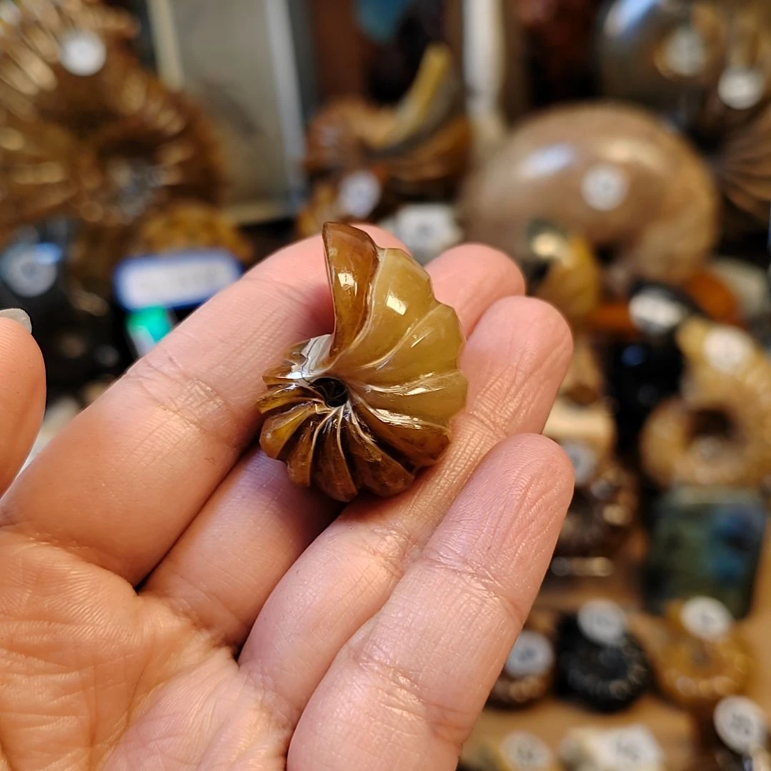 ༺***༻小小的风神鹦鹉全玉化