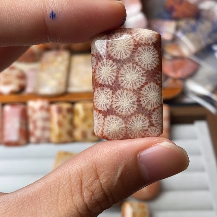 百***流未镶嵌珊瑚玉硅化玉