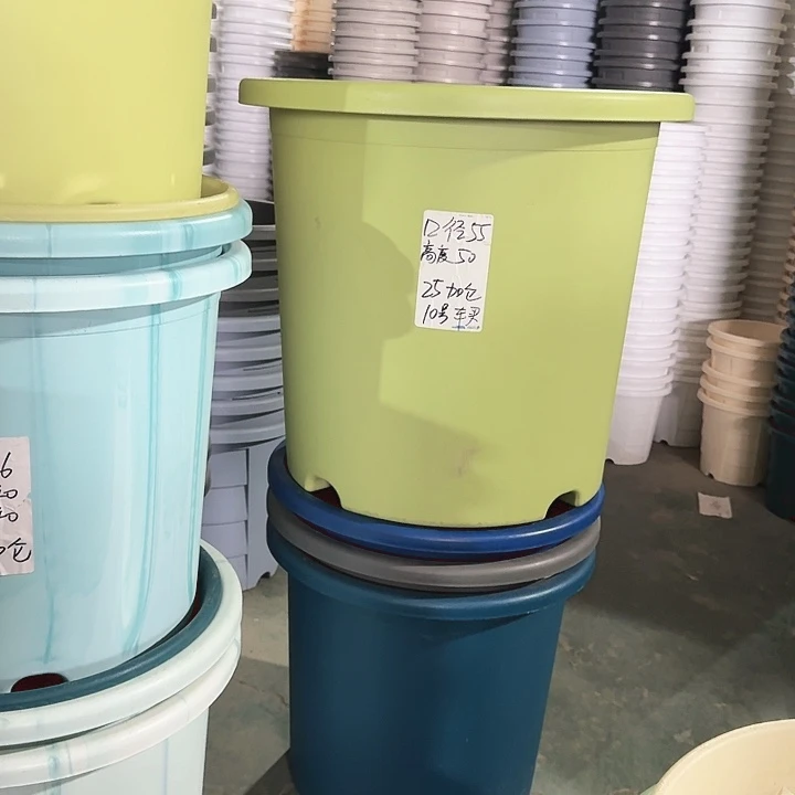 口径55果绿2个无托