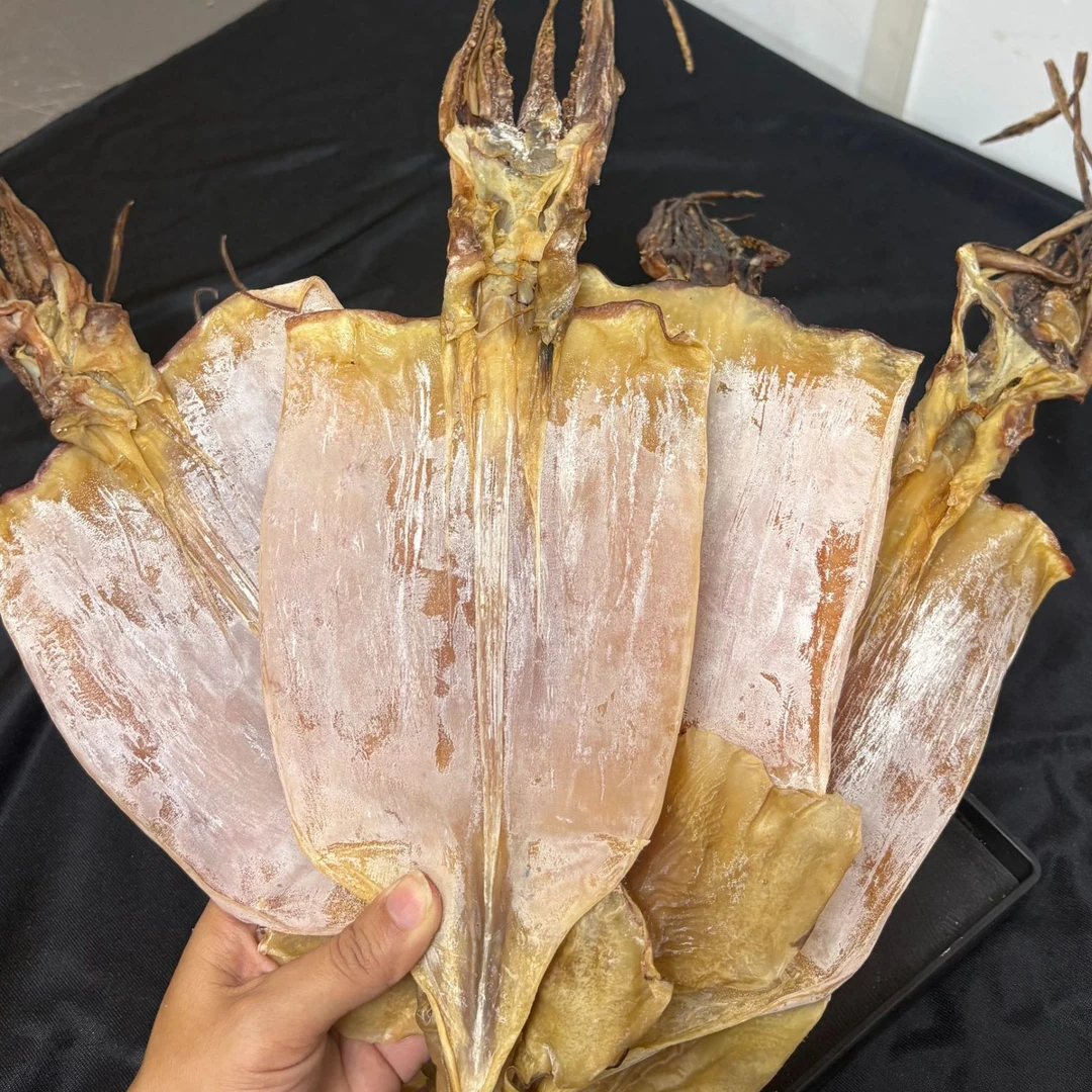 北部湾深海大鱿鱼干煲汤炒菜