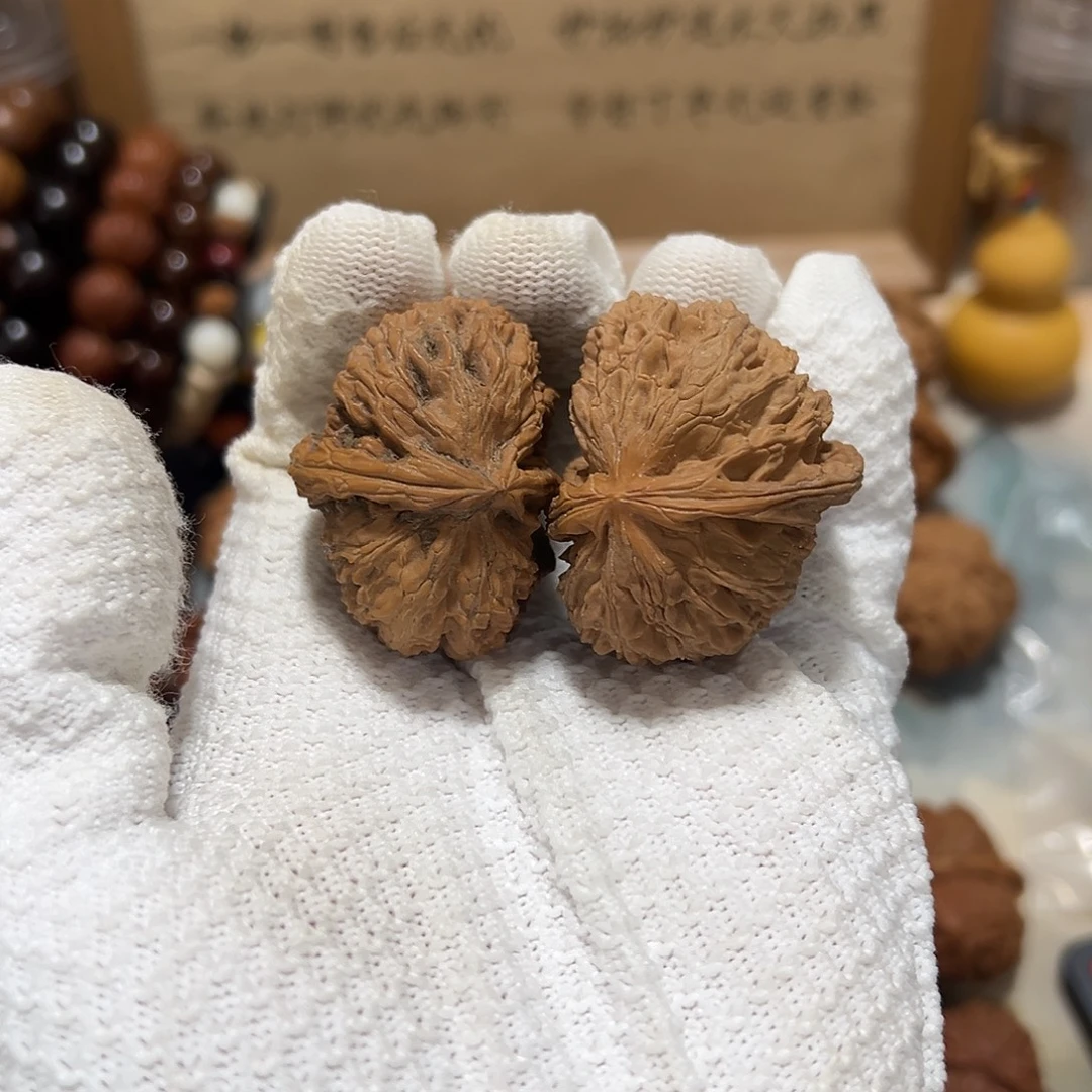 白狮子半壁江山有修