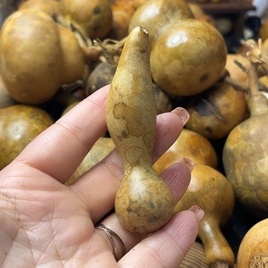 天***飞葫芦葫芦葫芦葫芦