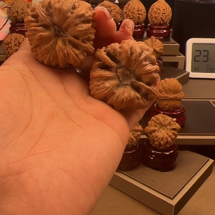 文玩核桃把件40 凹底 s-011