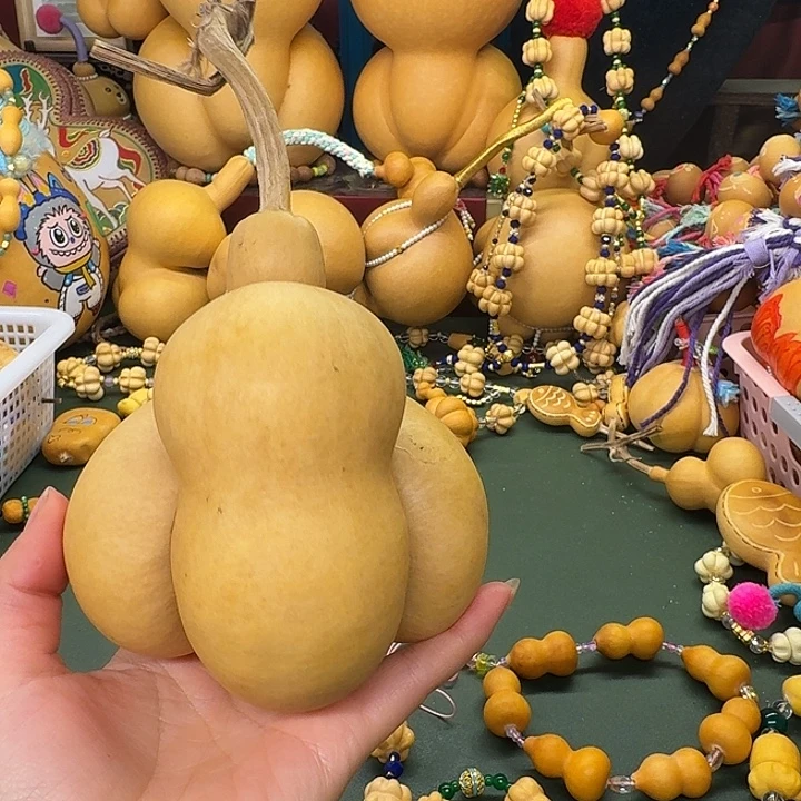 屋***味好看的金蟾宝宝晴好好