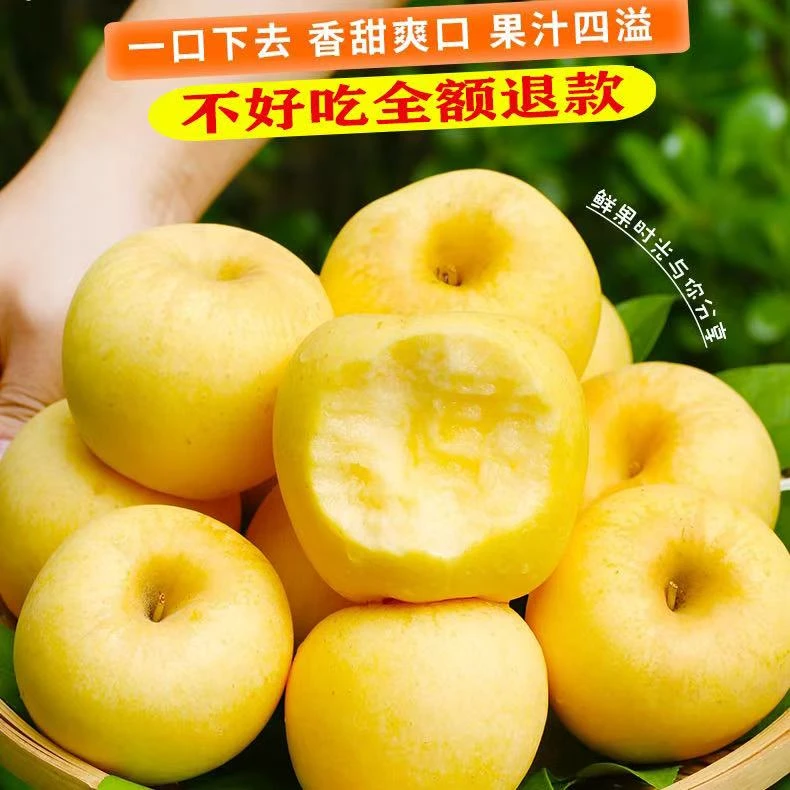 （卓影甄选）2025烟台奶油富士新鲜采摘维纳斯苹果脆甜多汁