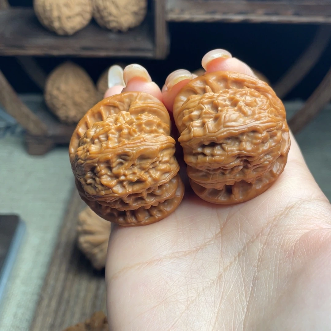 木质白狮子41 全品打底精配毕业红皮