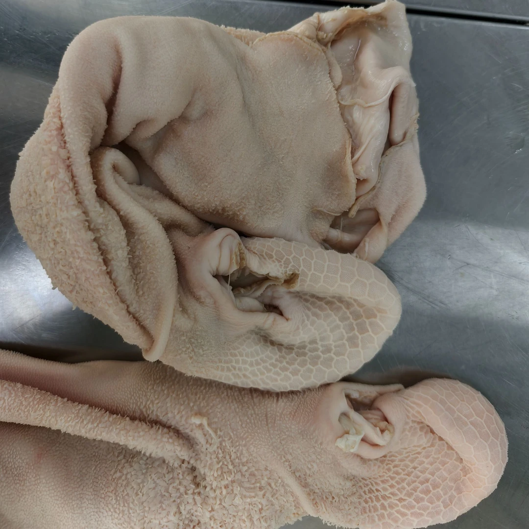 翱羊优品新鲜羊净肚