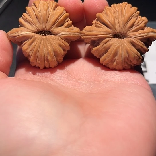 手串/手链核桃41 平谷楼。