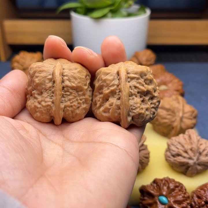 42蛤码头一帆风顺狮子头