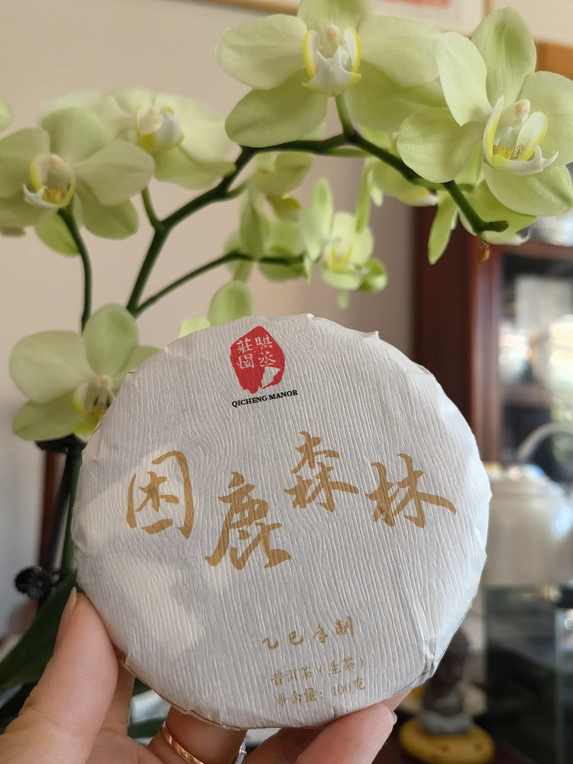 森林-2025年困鹿森林古树普洱茶头春头采