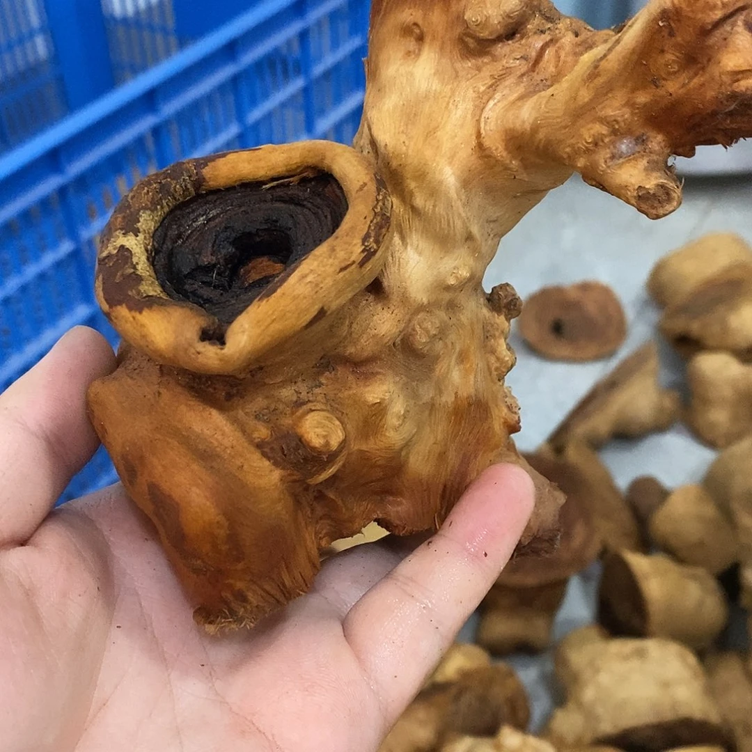 文***产荔枝木荔枝木原料