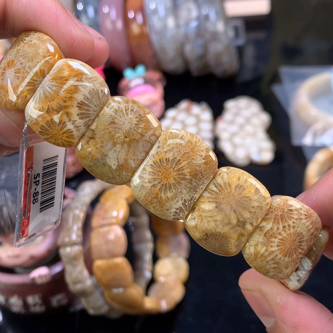 【闪购商品】颈饰未镶嵌硅化珊瑚（珊瑚玉）36号大花花