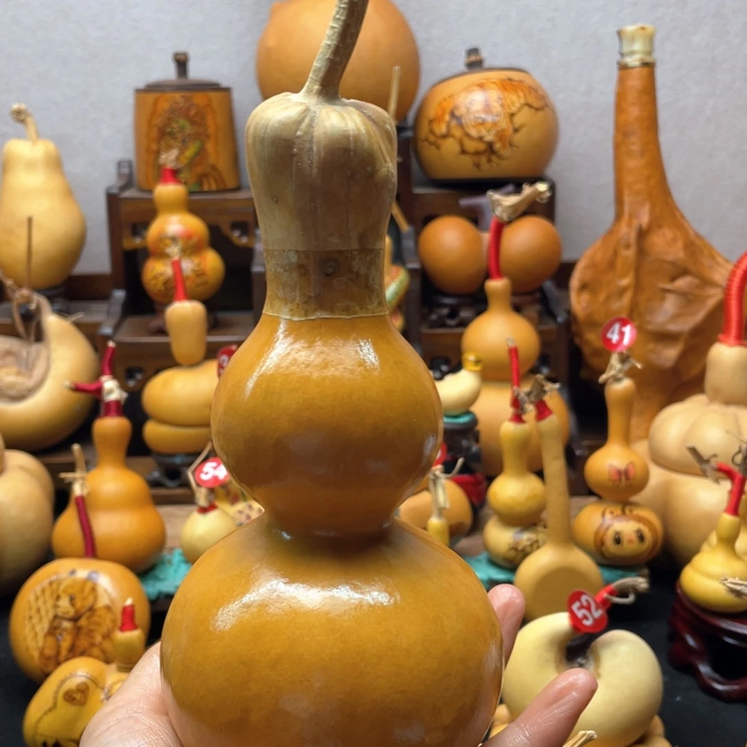 ༺****༻大自然的秘密第十一章第一