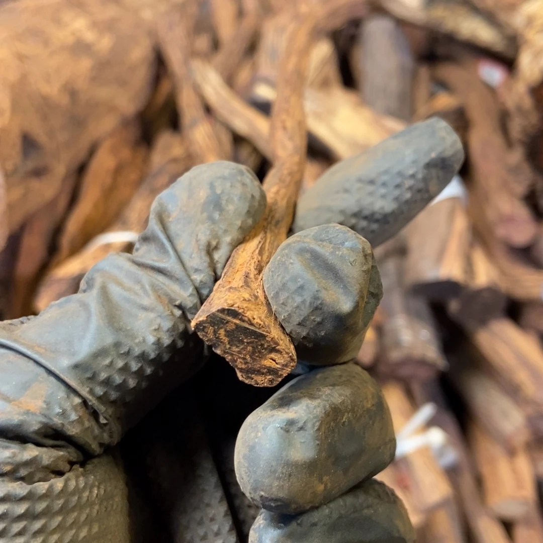 木用****6海南大叶帝王香06老型