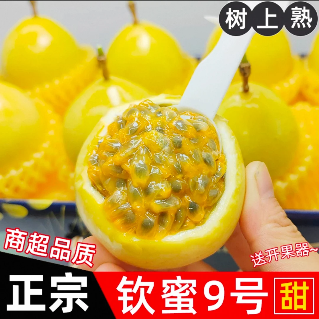 AA+正宗新鲜钦蜜9号黄金百香果香甜多汁当季水果果园现摘