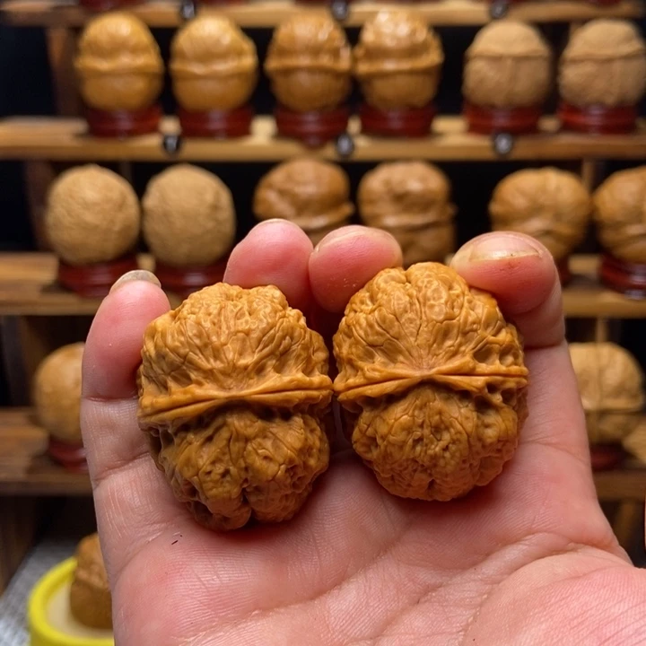 文玩核桃把件五毒蟾