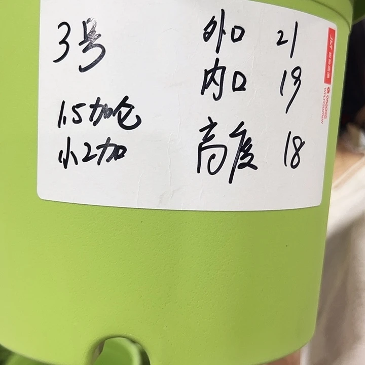 特价四季3号口21高18混色无托10只