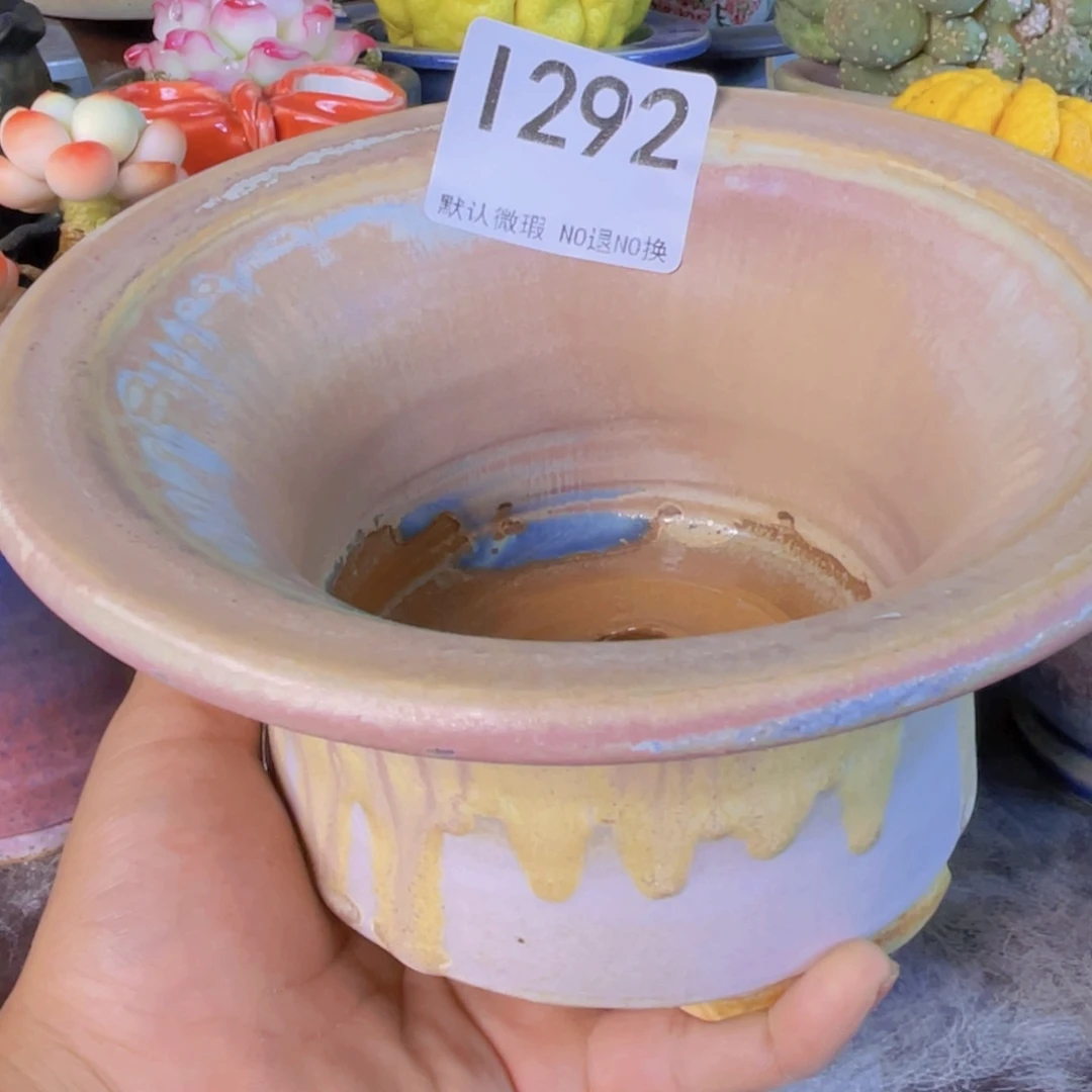 重庆小燕子欢迎大家292