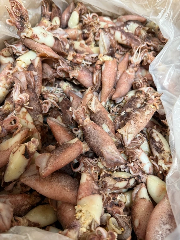 鱿鱼仔好吃不贵经济实惠