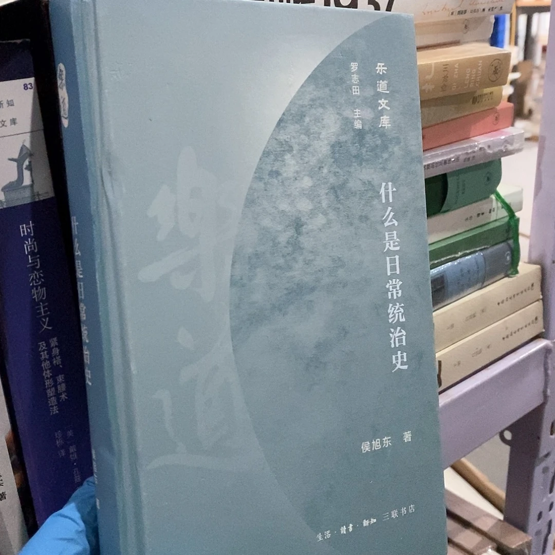 瑕疵 什么是日常统治史