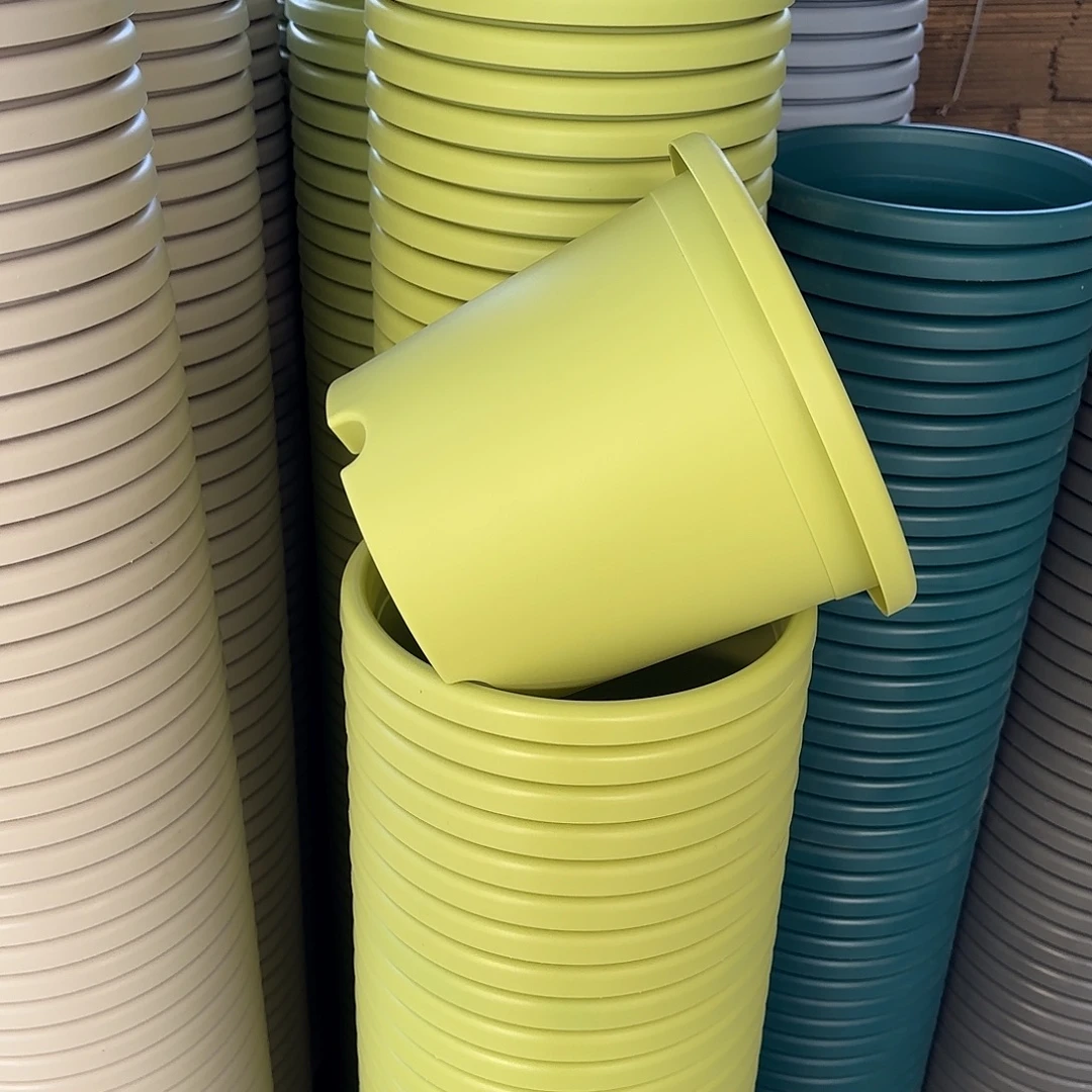 微瑕4号8个无托，果绿