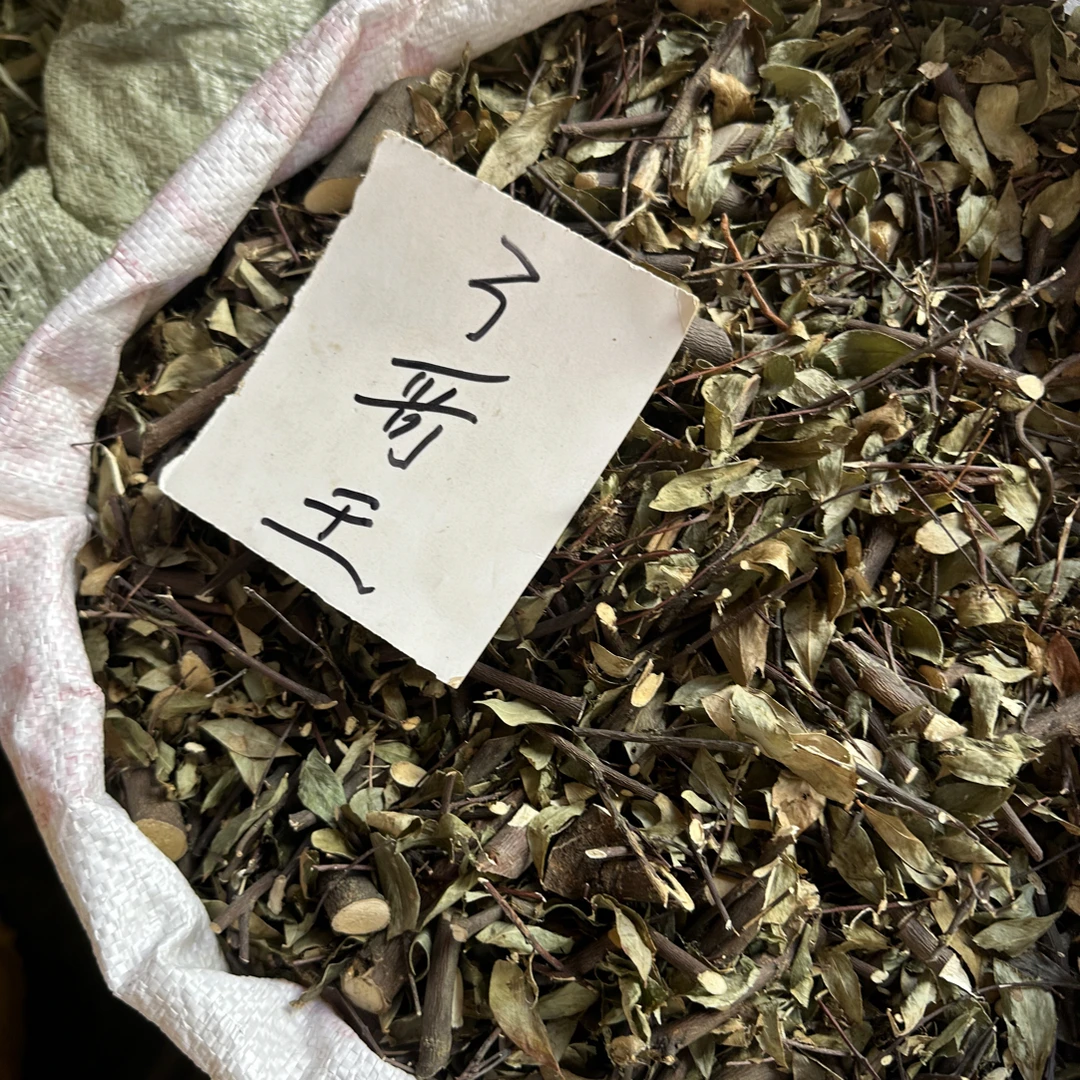 了歌王 了哥王枝干500g