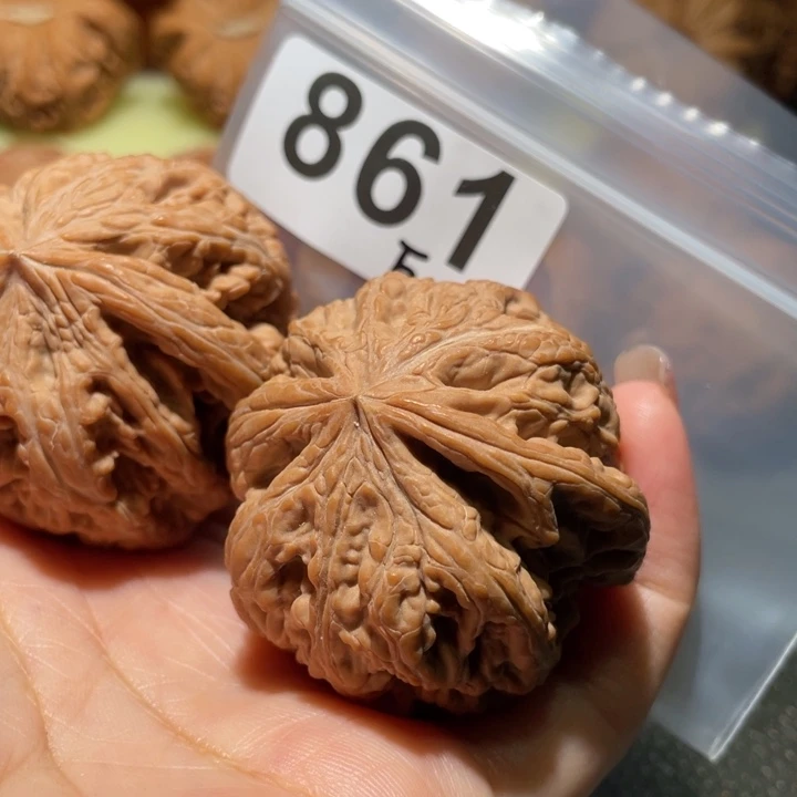×***＊把件文玩核桃大粗筋44