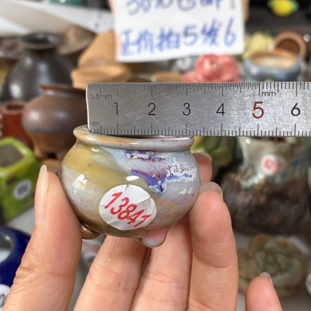 拍5送一个小礼物