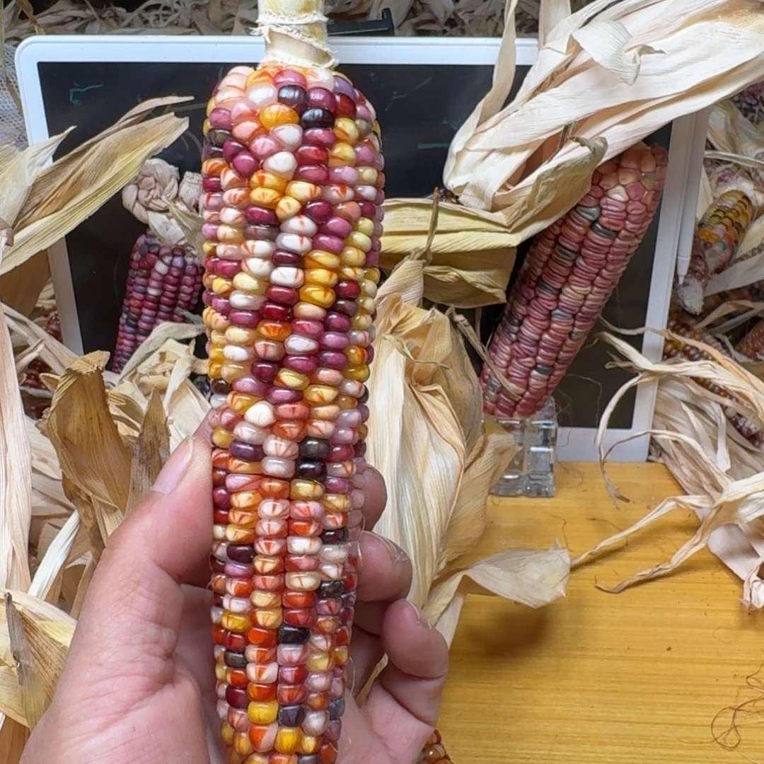 勇***涯柏香籽/百香籽吊坠