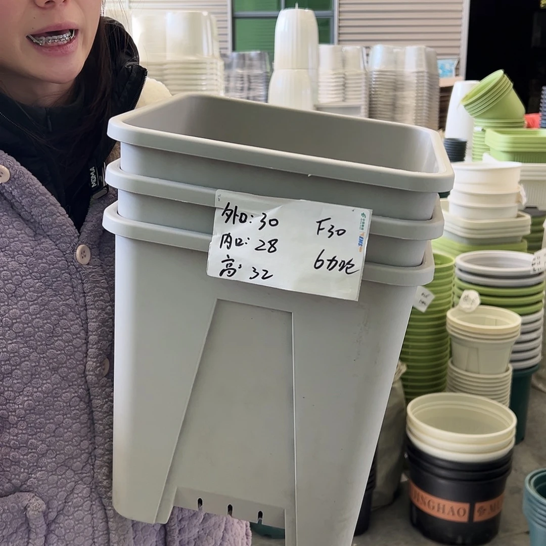 方盆F39灰白3个无托