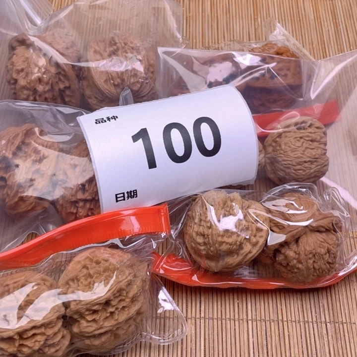 文玩核桃把件100号6对