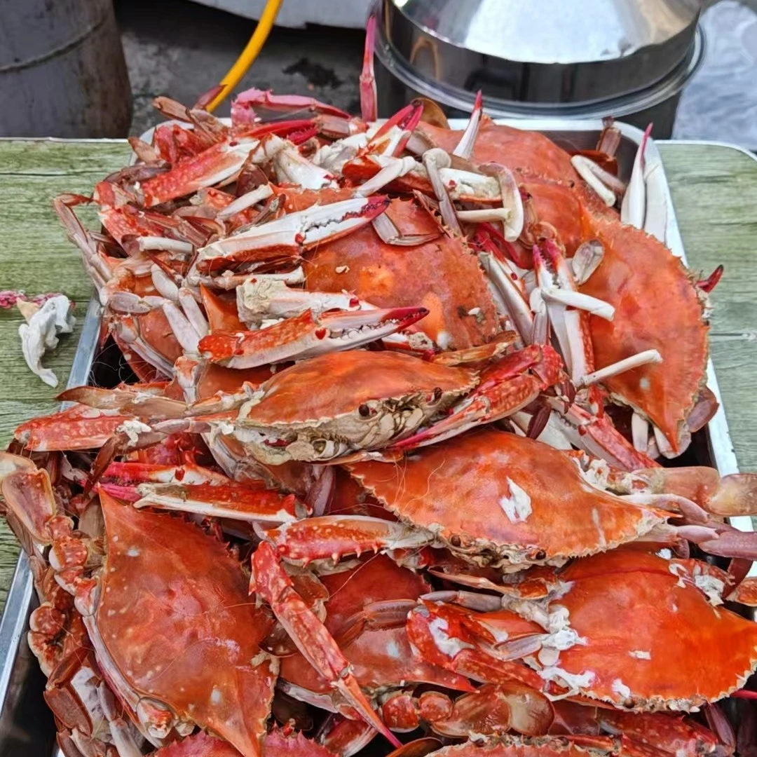 现场称重